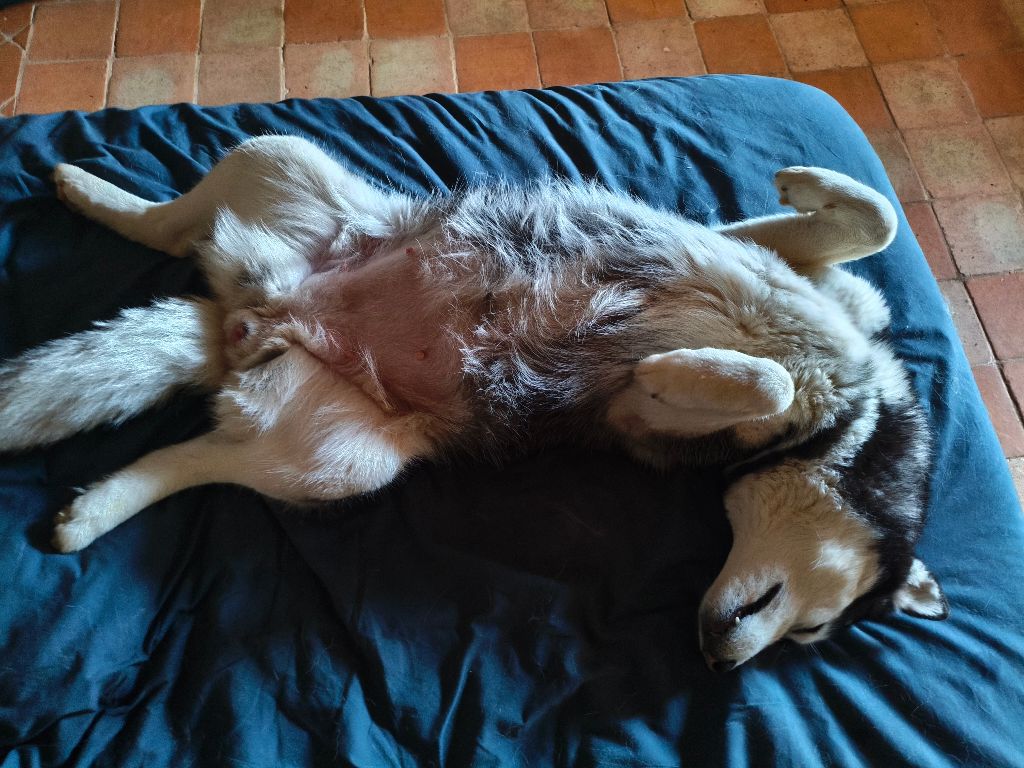 Une gestation épanouie