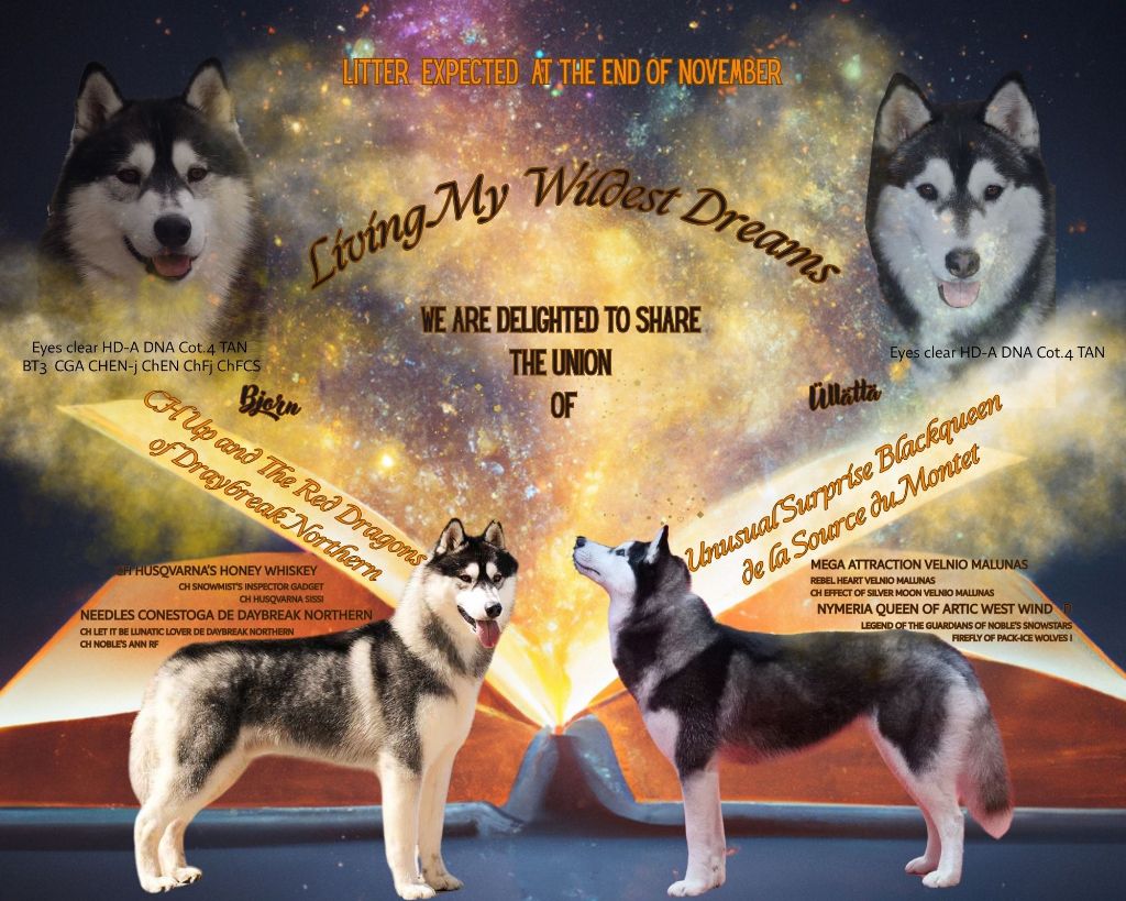 Bientôt des petits! Little ones coming soon!