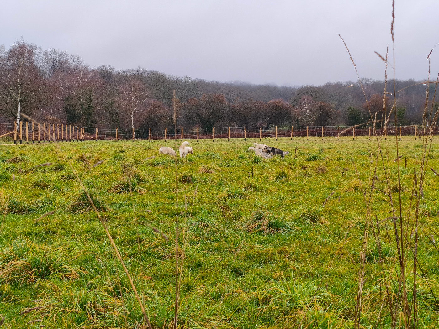Déménagement dans le Limousin